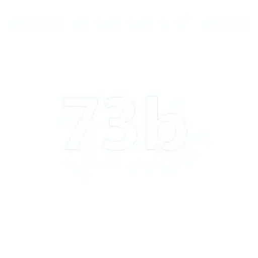 About Us: Exploring 73b.com